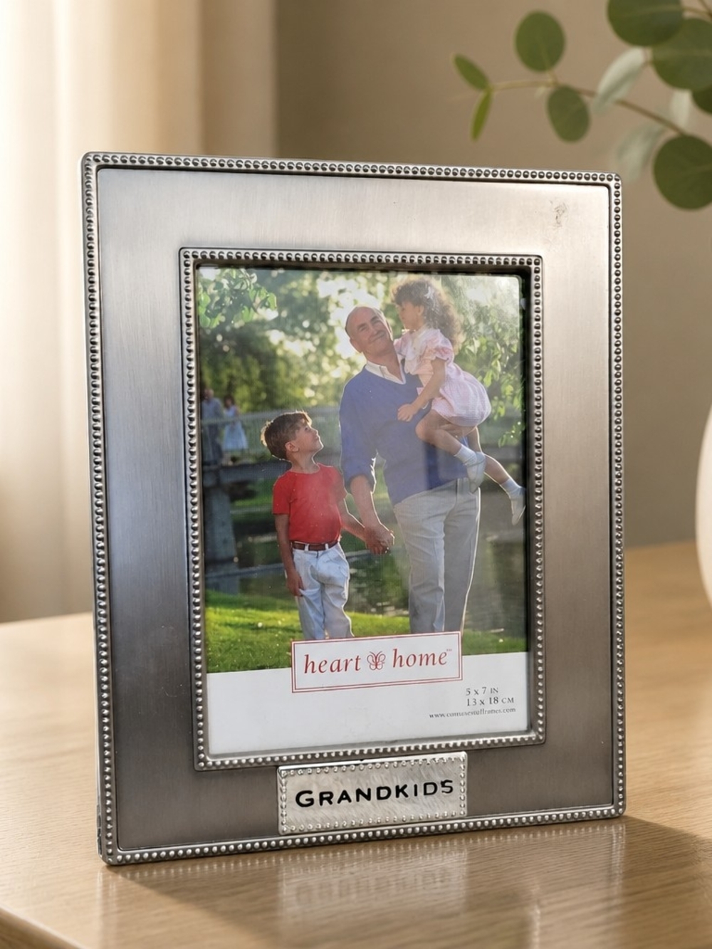 Grandkids Metallic Picture Frame - Silver